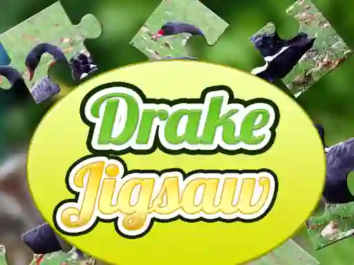 Spel Drake Jigsaw online