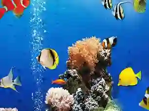 Spel Sea Underwater Difference online