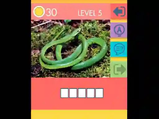 Spel 15 Picture Quiz online