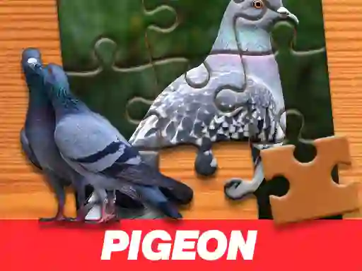 Spel Pigeon Jigsaw Puzzle online