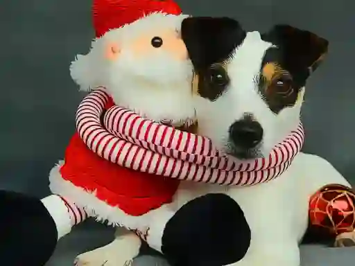 Spel Funny Christmas Dogs online