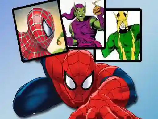 Spel Spiderman Match Cards online