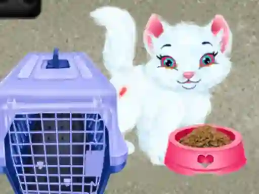 Spel Baby Taylor Pet Care online