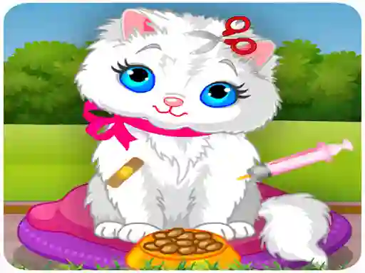 Spel Vet Cat Clinic online