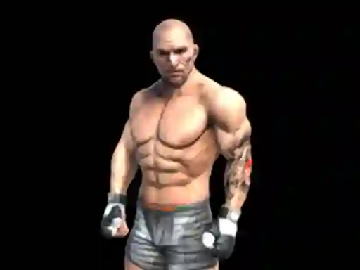Spel Fight Arena Online online