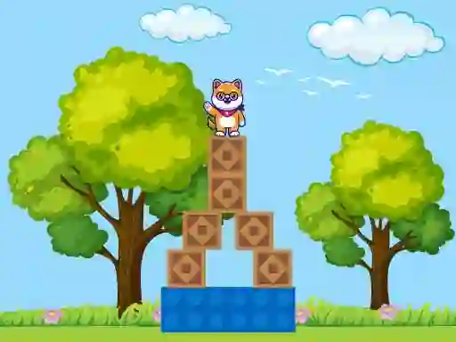 Spel Box Challenge online