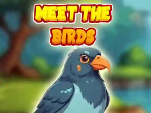 Spel Meet The Birds online