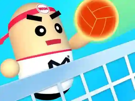 Spel 3D Amazing VolleyBall online