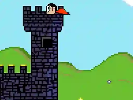 Spel Bird Hunter online