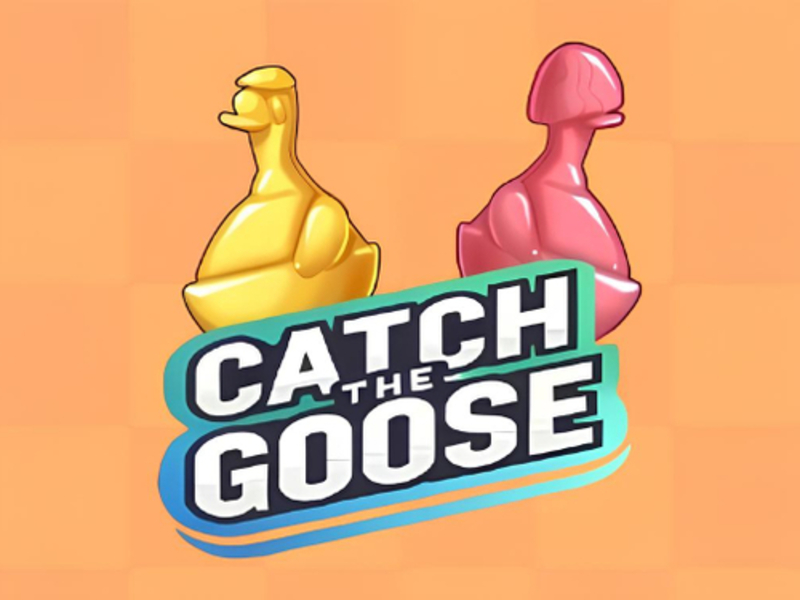 Spel Vang de gans online