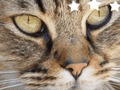 Spel Jigsaw Puzzle Classic online