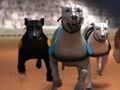 Spel Greyhound Racing online