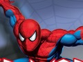 Spel Spider Warrior online