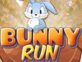 Spel Konijntje rennen  online