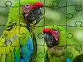 Spel Puzzel Regenwoud  online