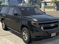 Spel Chevrolet Suburban-verschillen  online