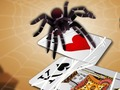 Spel Springende spin online