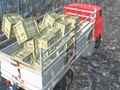 Spel Offroad vrachtwagenchauffeur  online