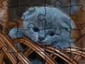 Spel Jigsaw Puzzle: Cats online