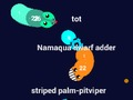 Spel Curvz. io  online