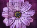 Spel Jigsaw Puzzle zomer  online