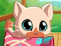 Spel Mijn pocket huisdieren kitty kat online