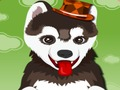Spel Een schattige hond wassen  online
