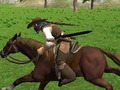 Spel Paardrijden Simulator  online