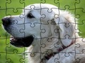 Spel Legpuzzel gedomesticeerde dieren  online