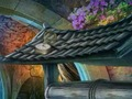 Spel Koud goud  online