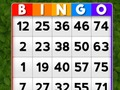 Spel Bingo online