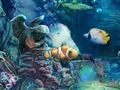 Spel Gezonken goud  online