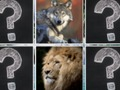 Spel Geheugen match jungle dieren online