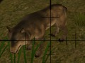 Spel Dierenjagers online