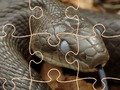 Spel Mysterieuze slangen: puzzel  online