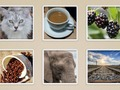 Spel Fotodia  online