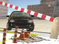 Spel Stadsparkatie online