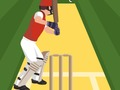 Spel Pro Cricket kampioen  online