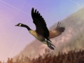Spel Eendenjager online