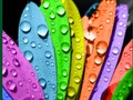 Spel Kleuren en ontwerpen  online