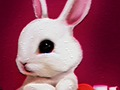 Spel Back to School: Rabbit Color Book online