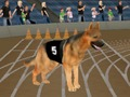 Spel Crazy Dog Racing Fever online