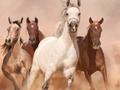 Spel Paarden puzzel  online