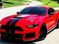 Spel Fancy Mustang -verschillen online