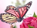 Spel Vlinders puzzel  online