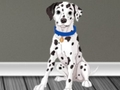 Spel Veterinaire arts Escape 2  online