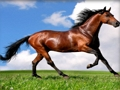 Spel Dieren puzzel paarden  online