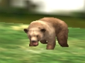 Spel Safari dierenjager  online