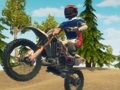 Spel Crossmotor Enduro Racing  online