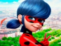 Spel Lieveheersbeestje Jigsaw Puzzle Collection  online